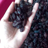 کشمش مویز  آفتابی درجه یک