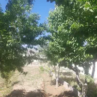 کرج چهارباغ زیرشهرک الهیه510مترزمین باغچه تهاتر