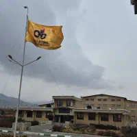 طراح امور تبلیغاتی و محتوا سازی