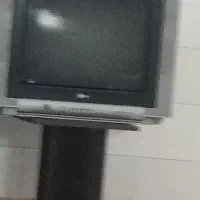 تلویزیون