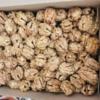 مغز گردو درجه۱