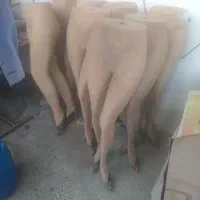 مانکن نیمه تنه