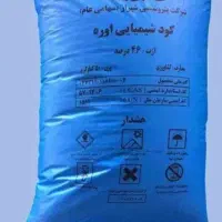 کوداوره سفید