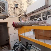 فرش۶متری و۱۲متری قرمز|فرش|نیشابور, ده حلاج|دیوار