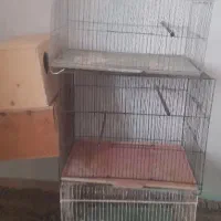 قفس معمولی و پرون