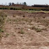 فروش زمین ۷۰۰ متری کشاورزی|فروش دفتر صنعتی، کشاورزی، تجاری|کاشان, دانشگاه|دیوار