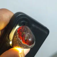 دوتا انگشتر مصور هستن وقدیمی|کلکسیون اشیاء عتیقه|چمران, |دیوار