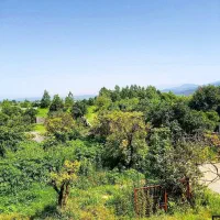 ویلا باغ منحصر بفرد و جذاب مخصوص خاص پسند ها|فروش خانه و ویلا|رامسر, |دیوار