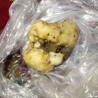 مهره