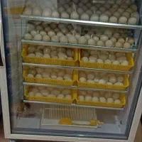 دستگاه جوجه کشی ۴۲۰تایی