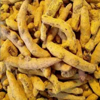 چوب زردچوبه