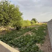 مخصوص تفریح/چهار دیواری/انشعابات تکمیل|فروش زمین و ملک کلنگی|اصفهان, زیار|دیوار