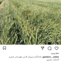 اجاره زمین به همراه اب استخر