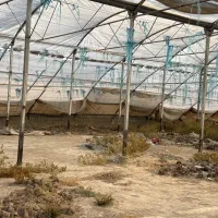 سازه گلخانه دست دوم در حد نو|ماشینآلات صنعتی|رباطکریم, الارد|دیوار