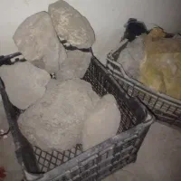 آکواریوم|ماهی|شیروان (خراسان), |دیوار