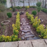 خدمات باغبانی گلکاری باغچه کاری تعویض خاک گلدون|خدمات باغبانی و درختکاری|تهران, جنت‌آباد شمالی|دیوار