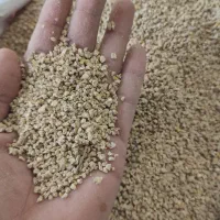 فروش مستقیم دان مرغ زینتی ـ گوشتی و تخم‌گذار