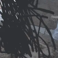 سینه سیاه رفته