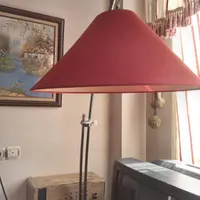 آباژور خوشرنگ و سالم