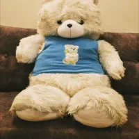 عروسک خرسی بزرگ