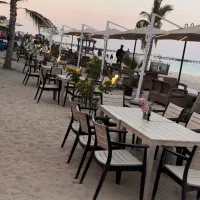 میز صندلی  مناسب باغ و کافه و تراس