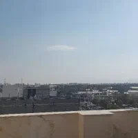 کلنگی-با-پروانه-چمران