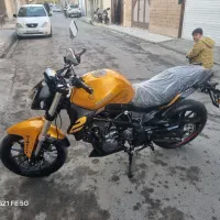 بنلی جفت طلایی