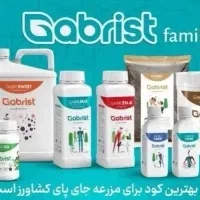 کارپاره وقت (نتورک مارکتینگ)