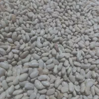 فروش عسل طبیعی و لوبیا سفید دست اول بدون واسطه|خوردنی و آشامیدنی|تهران, ترمینال جنوب|دیوار