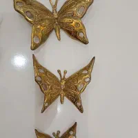 پروانه برنز