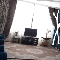 کلکسیون دوتا فرش 12متری