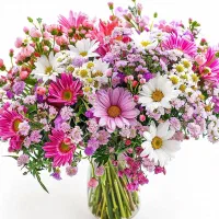 لطفا راهنمایی کنید