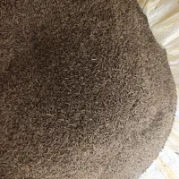 زیره سبز تمیز عالی|خوردنی و آشامیدنی|تربت‌حیدریه, شهرک ولیعصر|دیوار