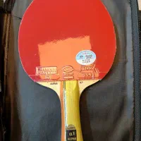 راکت پینگ پنگ|ورزش‌های توپی|رشت, چله خانه|دیوار