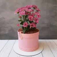 سفارش کیک روز مادر