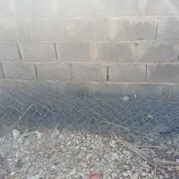 استان بوشهر شهرستان جم شهر ریز|لوازم جانبی حیوانات|ریز, |دیوار