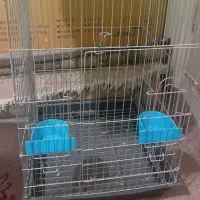 قفس بزرگ آکبند