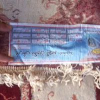 فرش قالی|فرش|چالوس, |دیوار