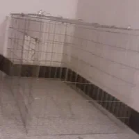 لوازم جانبی حیوانات|لوازم جانبی حیوانات|رشت, انصاری|دیوار