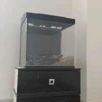 آکواریوم شرکتی aqua