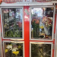 یخچال 4درب ایستاده|یخچال و فریزر|داراب, |دیوار