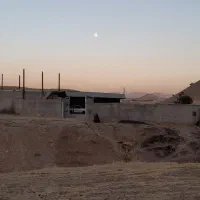 فروش-گاوداری