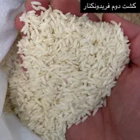 برنج کشت دوم فریدونکنار|خوردنی و آشامیدنی|یزد, |دیوار