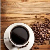 کافه دار،باریستا