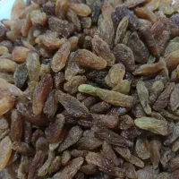 کشمش آفتابی