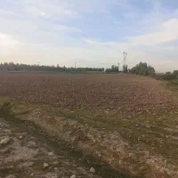 فروش-1200متر-زمین-باغچه-بن-جعفر-کوچه-باغ-مروارید