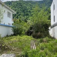 یه ویلای دنج تواین زمین جنگلی توشمال بساز باشرایط