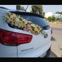 ماشین عروس|خدمات پذیرایی، مراسم|رشت, معلم|دیوار