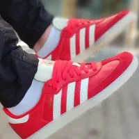 adidas samba 41 سفارش باشگاه بنفیکا|کیف، کفش، کمربند|تهران, شهرک غرب|دیوار