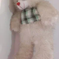 خرس بزرگ